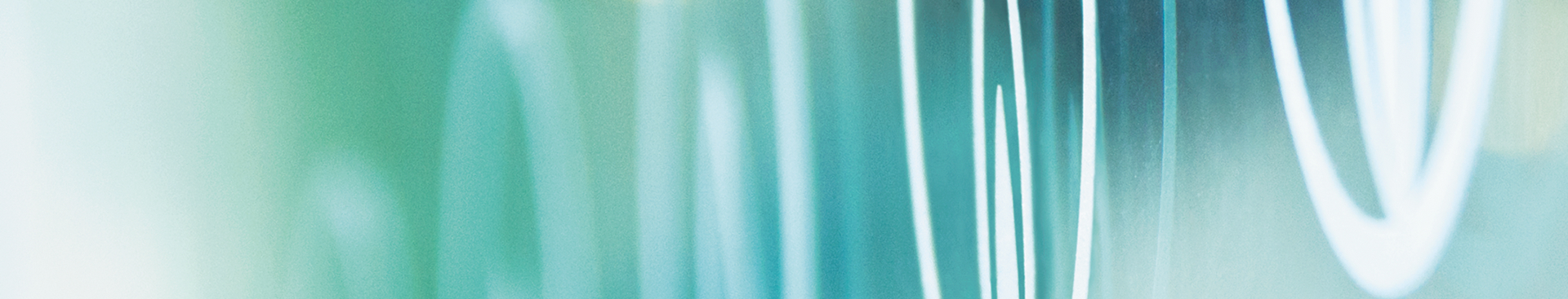 Online Application Form