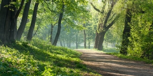 Energising the Ecosystem